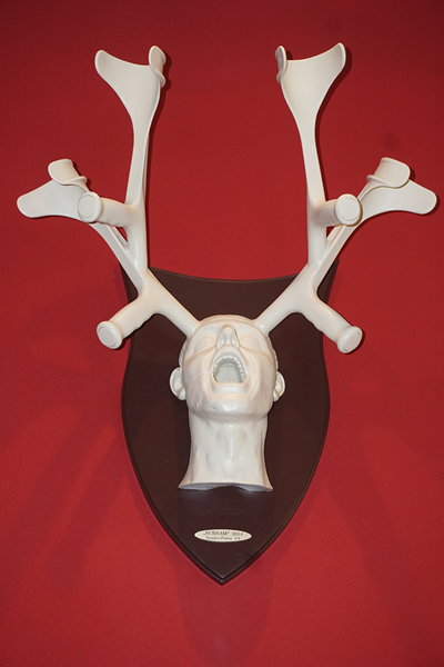 Scream